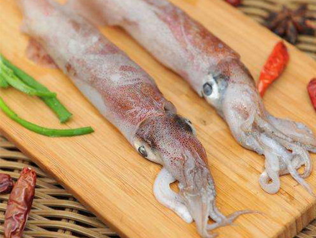 Indonesian Red Squid