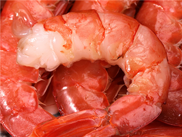 Argentine Red Shrimp