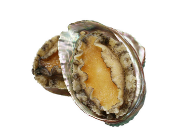 10 head abalone