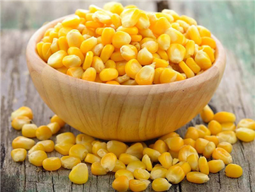 corn kernels