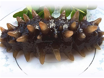 Russian sea cucumber